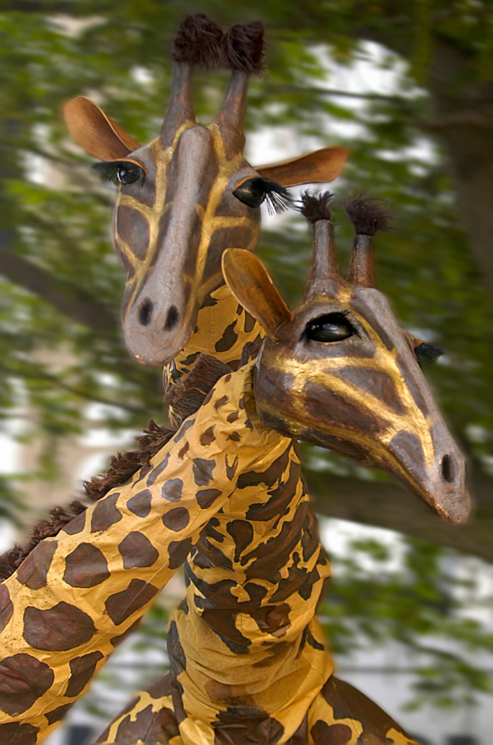 Teatro Pavana - Giraffes